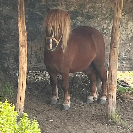 Poggio Baroni * Manciano